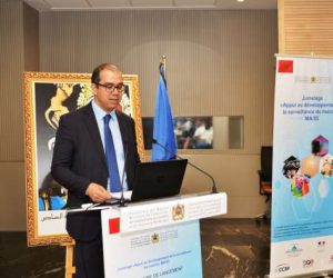 TWM 8449 300x250 - Lancement du projet de jumelage «Appui au développement de la surveillance du marché»