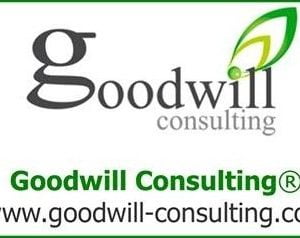 cabinet Goodwill Consulting 300x238 - Le cabinet Goodwill Consulting organise une formation sur le knowledge management