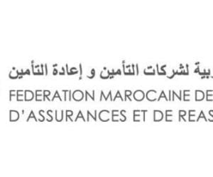 FMSAR 300x250 - Bachir BADDOU, Réélu au Comité Exécutif de la GFIA