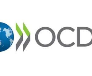 OCDE logo 300x250 - sensibilisation sur la responsabilité sociale des entreprises dans le cadre des principes directeurs de l’OCDE le 19 janvier à 19h30