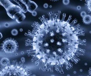 grippe2 300x250 - Grippe porcine: un virus normal! (ministère)
