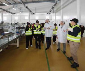 excelo 01 300x250 - Excelo achève 65 % des investissements de son plan industriel 2018-2020