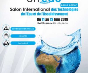 KV SITeau 6ème edition  300x250 - la sixième édition du Salon International des Technologies de l’Eau et de l’Assainissement « SITeau »