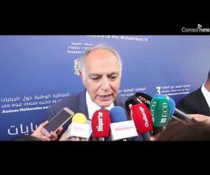 mezouar 300x250 - [Assises de la Fiscalité] Déclaration de Salaheddine Mezouar (Vidéo)
