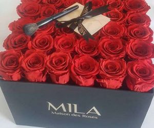 mila rose 300x250 - MILA ... La maison des Roses Eternelles