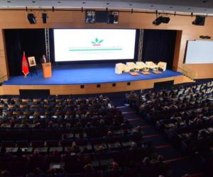 GCAM mobilise 650 cadres suite aux orientations royales Samedi 2 novembre 2019 2 300x250 - Le Crédit Agricole du Maroc mobilise ses troupes suite aux Orientations Royales
