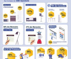 Achat biens d’équipements, Avito décrypte le comportement des marocains avito.fw 300x250 - Achat biens d’équipements, Avito décrypte le comportement des marocains