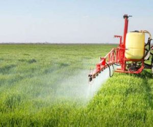 pesticides 300x250 - Santé alimentaire: l'ONSSA étudie la possibilité d'interdire les pesticides à base de «Chlorpyriphos»