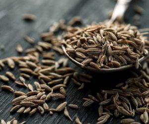 1eac093c7d 50150080 cumin 300x250 - Zoom sur le cumin : Kemoun