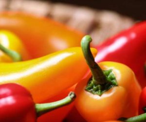 selective focus photography of red and orange chili 1274609 1500x1000 1 300x250 - Zoom sur Tahmira (Paprika-poivron)