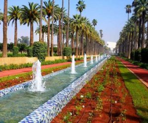 parc de la ligue arabe 300x250 - Parc de la Ligue Arabe: 100 millions de dirhams partis en fumée?!