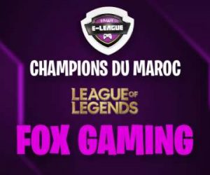 Gagnant League Of Legends 300x250 - 4ème édition réussie pour la inwi e-league !