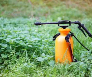 Pesticides 300x250 - Agriculture: L’ONSSA retire plus de 300 pesticides du marché