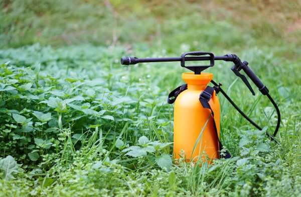_Pesticides – Consonews - Premier site consommation au Maroc