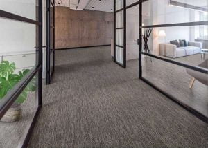 SALIX 300x214 - SALIX