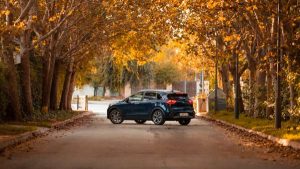 DSC08953 300x169 - DSC08953