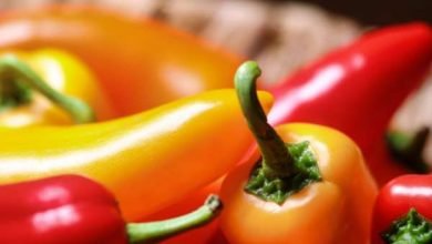 Aliments: le poivron marocain non grata en Allemagne! poivron 390x220 - Aliments: le poivron marocain non grata en Allemagne!