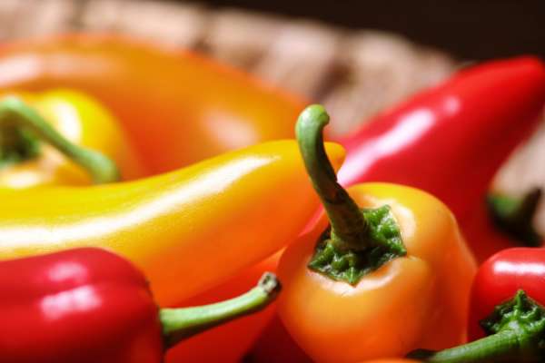 poivron – Consonews - Premier site consommation au Maroc