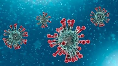 coronavirus 390x220 - Santé: des antibiotiques développés en exploitant l'AI