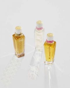 HAUTEPARFUMERIE COLLECTIONROSE 30CM RVB 240x300 - Cartier: Les collections de Parfums - I ONLY LOVE WILD ROSES