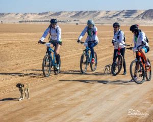 IMG 7442 300x240 - IMG_7442