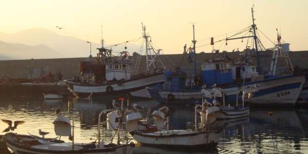 Peche - Pêche : hausse des débarquements de 19% à fin novembre