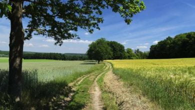 campagne 390x220 - Immobilier en campagne: le Crédit Agricole va lancer un financement dédié