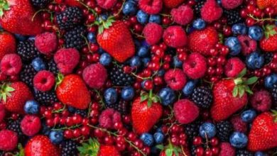 fruits rouges maroc 4 660x330 1 390x220 - La consommation de ce fruit populaire est liée à une réduction du risque de démence