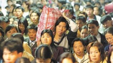 unnamed 6 390x220 - Éradication de la pauvreté : expérience de la Chine