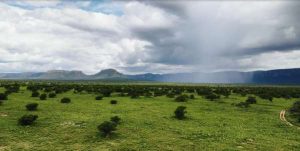 WWS 3 300x151 - WWS_3