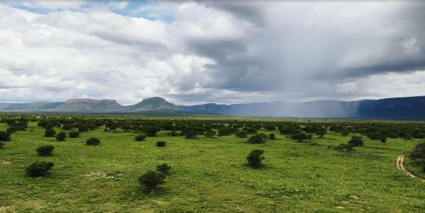 “Why We Shoot”, la nouvelle campagne vidéo de Sony organisée en hommage aux photographes et vidéographes de la région WWS 3 - “Why We Shoot”, la nouvelle campagne vidéo de Sony organisée en hommage aux photographes et vidéographes de la région