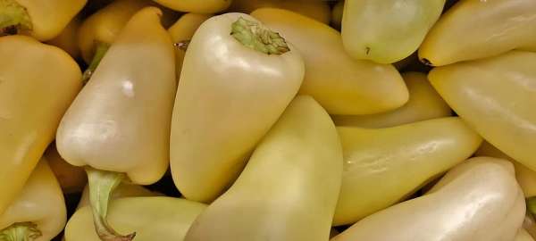 caribe caribe peppers peppers white peppers hot chiles chili spicy heat - Résidus de pesticides: des poivrons blancs marocains retirés des marchés tchèques