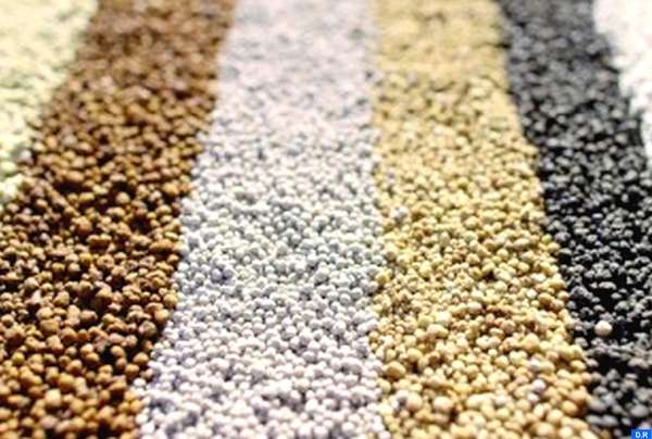 ocp 1 - Phosphates: Hausse des exportations de 7,9% à fin février
