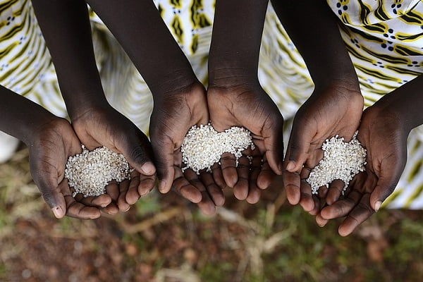 securite alimentaire - Le ministre ivoirien souhaite que la Côte d'Ivoire s'inspire du modèle marocain en matière de sécurité alimentaire
