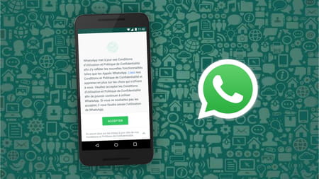 Les nouvelles règles de WhatsApp sont une opportunité pour les marques 24436440 - Les nouvelles règles de WhatsApp sont une opportunité pour les marques