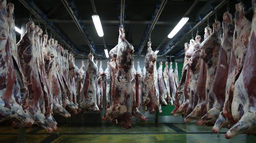 abattoirs de Casablanca e1685971611648 - Les abattoirs de Casablanca décrochent le Label “HALAL”