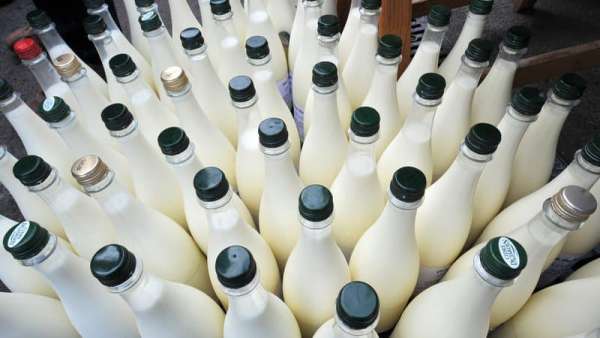 lait - Après 10 ans de recul, la consommation de lait repart à la hausse en France