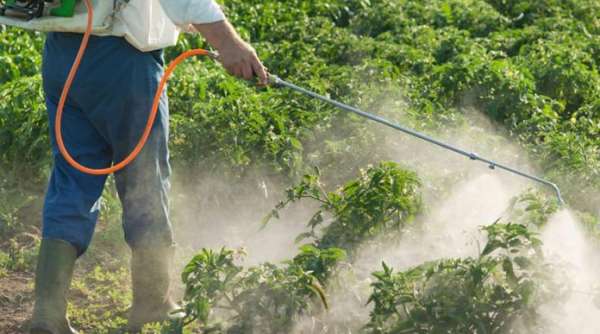 pesticide-2-trtw – Consonews - Premier site consommation au Maroc