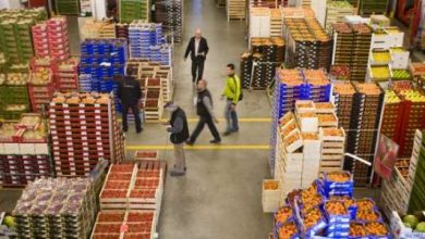 commerce de gros fruits legumes 660x330 1 390x220 - Journée  nationale du commerçant: « La digitalisation, levier essentiel pour la relance du commerce