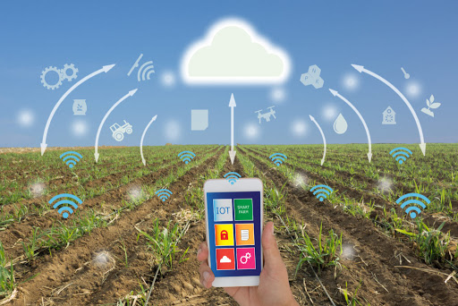 smart agriculture - Agriculture intelligente: Interview avec le DG de l’ADA