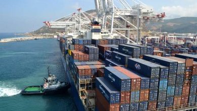 Tanger Med 1 390x220 - Tanger Med : plus de 10 millions de conteneurs traités en 2024, un record historique