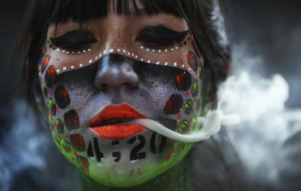 cannabis 2 - Le Mexique dépénalise sous conditions la consommation récréative de cannabis