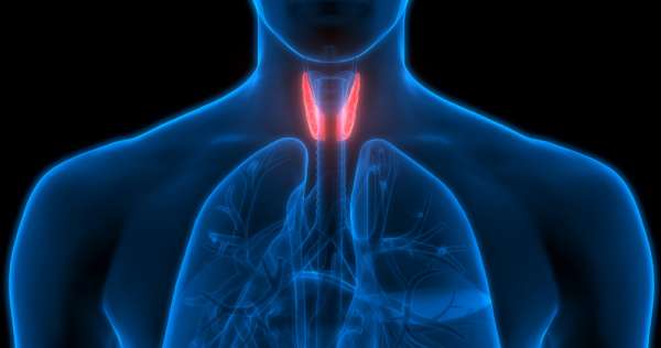 i102875-thyroidectomie – Consonews - Premier site consommation au Maroc
