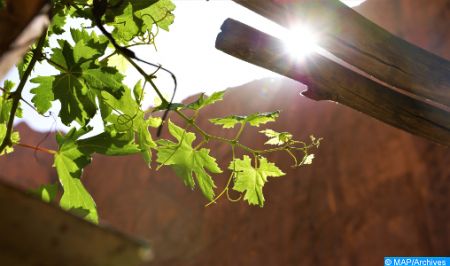 soleil 5 - Vague de chaleur de jeudi à samedi dans plusieurs provinces du Royaume (bulletin spécial)