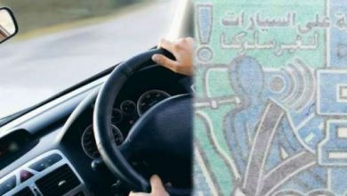 vignette 696x348 1 390x220 - Taxe spéciale annuelle sur les véhicules : plus de 4,2 MMDH de recettes en 2024 (DGI)