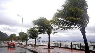1612696587Fortes rafales de vent 390x220 - Fortes Rafales de vent, des pluies orageuses et des chutes de neige de jeudi à samedi dans plusieurs provinces