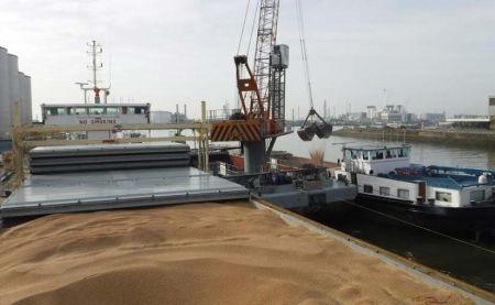 2009 91636 maroc les importations de ble seront a la baisse en 20212022 M - Blé: les prix à l'international augmentent de 20%, le Maroc se prépare
