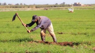 agriculteurs maroc 17 660x330 1 390x220 - Petite agriculture, la grande oubliée des politiques agriocles selon le CESE