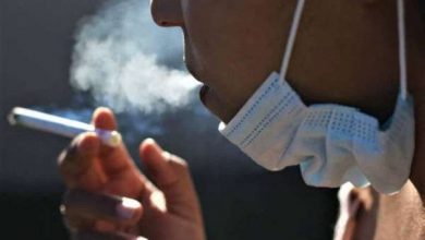 composition tabac maroc 390x220 - Consommation de tabac au Maroc : un taux modéré mais des défis persistants