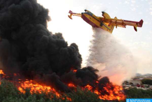 foret - Forêts: Baisse de 47% de la superficie incendiée